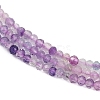 Natural Fluorite Beads Strands G-F789-01-2mm-5