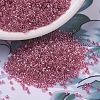 MIYUKI Delica Beads SEED-J020-DB0902-1