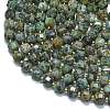 Natural African Turquoise(Jasper)  Beads Strands G-K389-A49-01-3