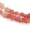 Synthetic Coral Dyed Carved Beads Strands SHEL-K007-18A-3