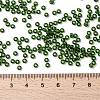 MIYUKI Round Rocailles Beads SEED-X0055-RR0158-4