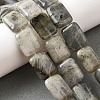 Natural Labradorite Beads Strands G-S386-A03-1