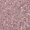 MIYUKI Delica Beads SEED-X0054-DB1243-4