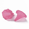 Transparent Acrylic Beads BSF796-C16-3