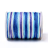Segment Dyed Polyester Thread NWIR-I013-C-01-3