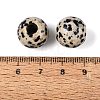Natural Dalmatian Jasper European Beads G-Q602-09B-08-3