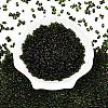 Picasso Spray Painted Glass Seed Beads SEED-T006-04-17-1