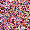 Baking Paint Glass Seed Beads SEED-S042-05B-48-3