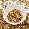 MIYUKI Delica Beads SEED-X0054-DB2525-2