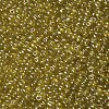 6/0 Glass Seed Beads SEED-A006-4mm-110-2
