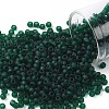 TOHO 8/0 Round Beads SEED-JPTR08-0939F-1