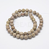 Natural Fossil Coral Beads Strands X-G-P325-01-8mm-2