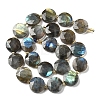 Natural Labradorite Beads Strands G-C116-A164-03-3