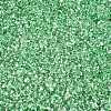 6/0 Baking Paint Transparent Fringe Glass Seed Beads X1-SEED-N006-06K-3