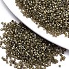 FGB 11/0 Grade A Glass Seed Beads SEED-S030-1148-1