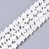 Natural Trochid Shell/Trochus Shell Bead Strands X-SSHEL-N034-68A-1