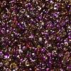 Spray Painted Glass Seed Beads SEED-F005-02A-01-3