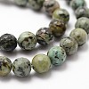 Natural African Turquoise(Jasper) Beads Strands G-D840-15-8mm-3