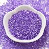 Imitation Cat Eyes Glass Seed Beads X1-SEED-H003-03F-2
