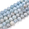 Natural Aquamarine Beads Strands G-L478-21-01-1