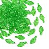 Transparent Acrylic Charms TACR-F009-11E-1