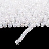 6/0 Glass Seed Beads X1-SEED-A007-4mm-161-4