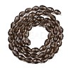 Transparent Glass Beads Strands EGLA-N013-T10mm-D27-2