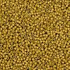 MIYUKI Delica Beads X-SEED-J020-DB0665-2