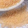 MIYUKI Round Rocailles Beads SEED-X0056-RR0282-1