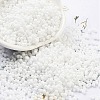Baking Paint Glass Seed Beads X-SEED-A033-04M-1