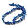 Spray Painted Synthetic Turquoise Beads Strands G-E617-B08-03-3