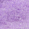 Ceylon Glass Seed Beads SEED-K009-02B-30-3