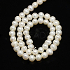 Natural Cultured Freshwater Pearl Beads Strands X-PEAR-L001-C-13-3