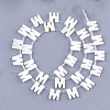 Natural Freshwater Shell Beads SHEL-T012-59M-2