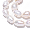 Natural Cultured Freshwater Pearl Beads Strands PEAR-N012-07R-3
