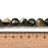 Natural Lepidolite Beads Strands G-F799-B01-11mm-5