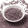 MIYUKI Round Rocailles Beads X-SEED-G008-RR0410-2