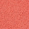 11/0 FGB Grade A Baking Paint Glass Seed Beads X-SEED-N001-A-1005-2