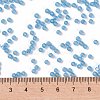 MIYUKI Round Rocailles Beads X-SEED-G007-RR0573-4