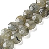 Natural Labradorite Beads Strands G-K357-B03-01-1