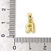 Rack Plating Brass Charms KK-C053-04G-R-3