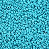 Baking Paint Glass Seed Beads SEED-US0003-2mm-K10-2