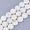 Freshwater Shell Beads Strands X-SHEL-S276-28-1