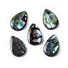 Natural Paua Shell Epoxy Resin Cabochons SSHEL-S279-01E-1
