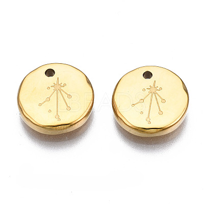 316 Surgical Stainless Steel Charms STAS-S116-418K-G-1