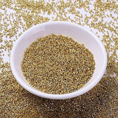 MIYUKI Delica Beads X-SEED-J020-DB1832-1