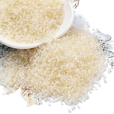 Transparent Inside Colours Glass Seed Beads SEED-H003-04B-1