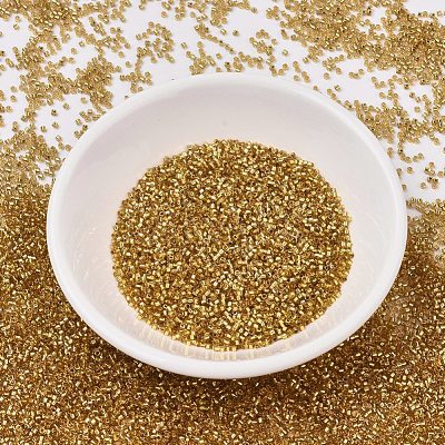 MIYUKI Delica Beads SEED-X0054-DB2525-1