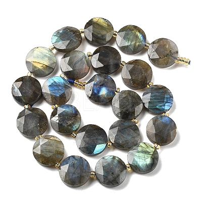 Natural Labradorite Beads Strands G-C116-A164-03-1