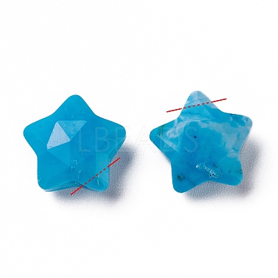 Natural Howlite Charms G-H241-04E-1